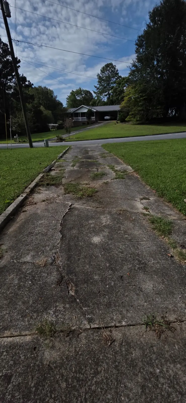 Before - Garden Restoration & Cleanup